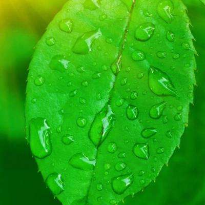 BOB体育官网下载入口